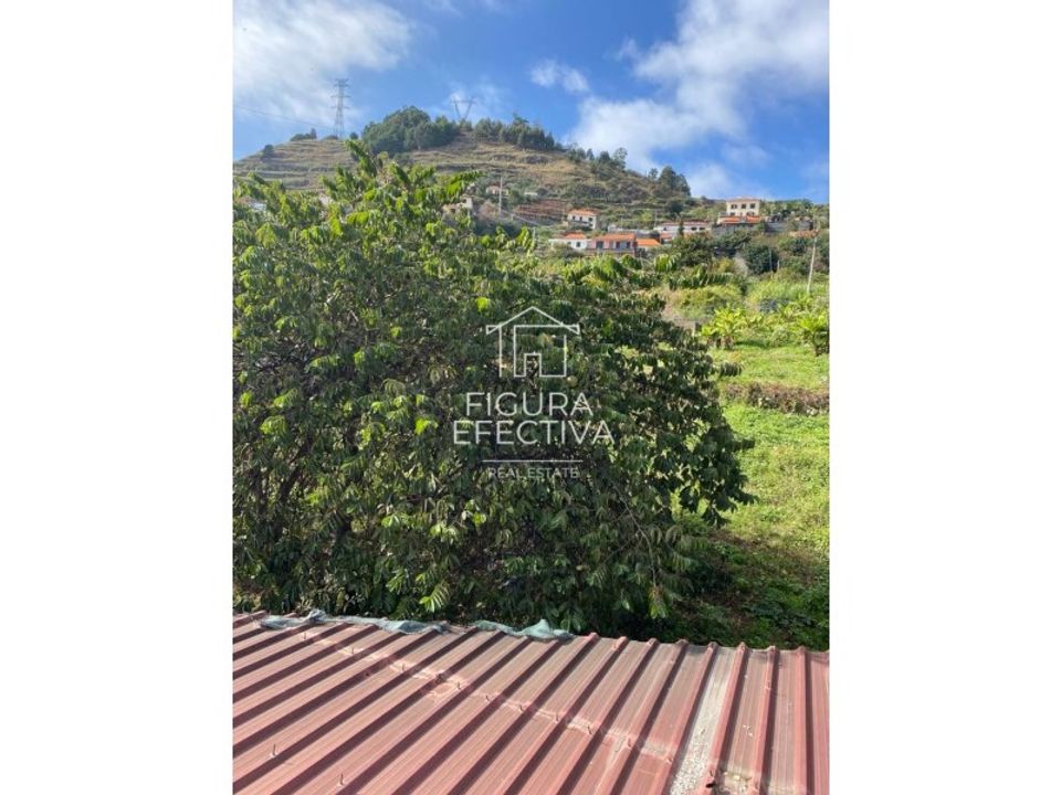 Helårsgrund i Ribeira Brava, Madeira - foto 5