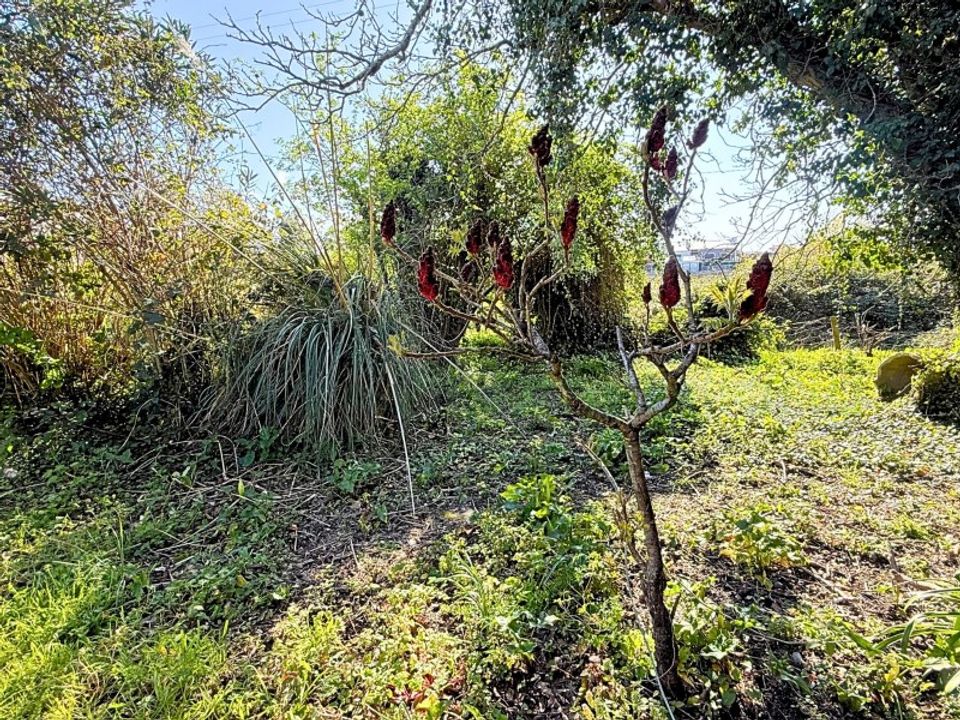 Helårsgrund i Bela, Viana do Castelo - foto 4