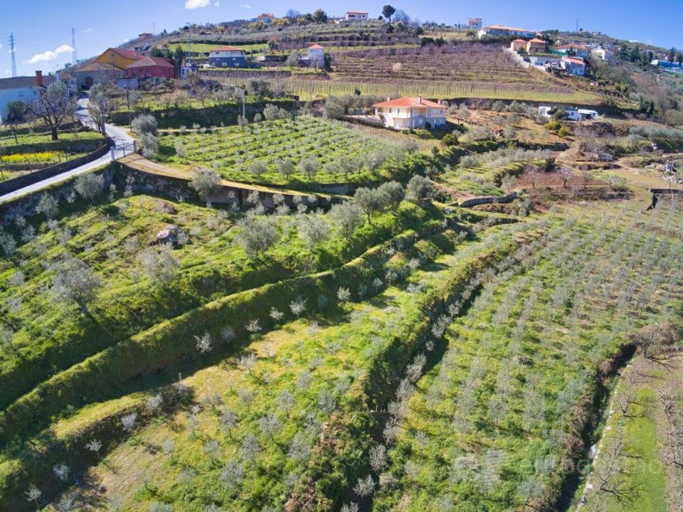 Gård i Cepoes, Viseu - bilde 2