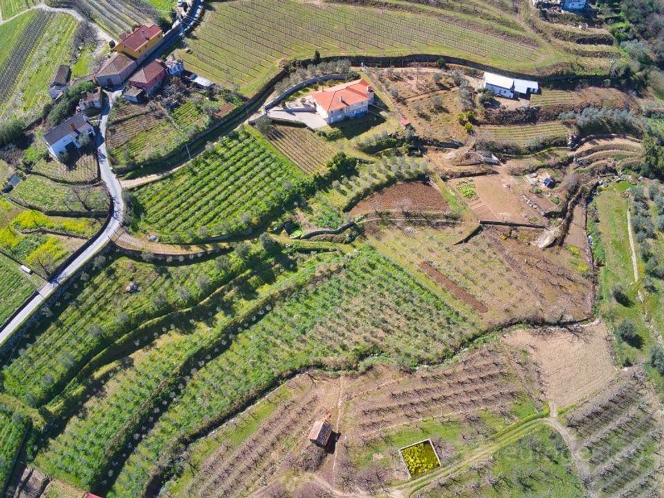 Gård i Cepoes, Viseu - bilde 3