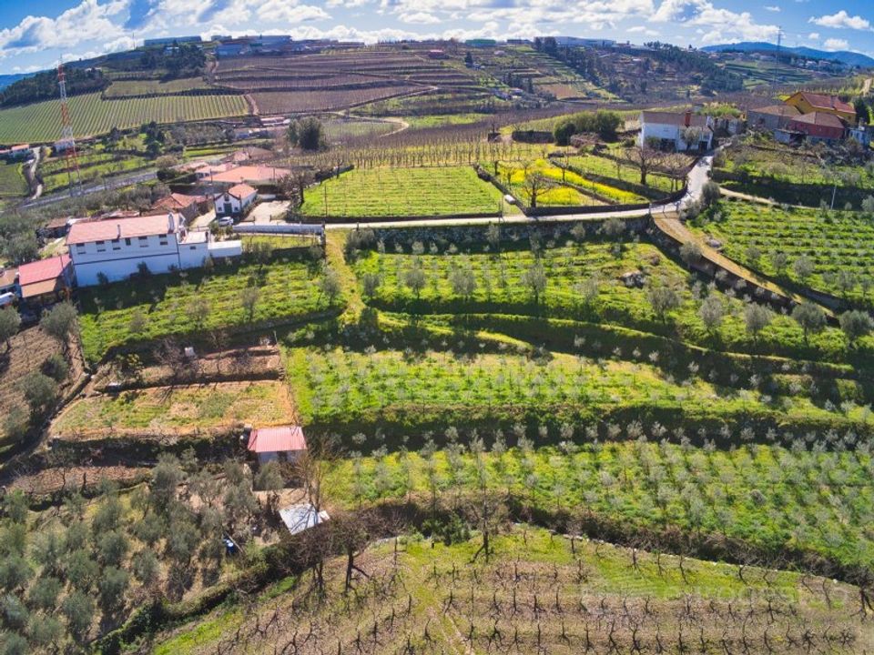 Gård i Cepoes, Viseu - bilde 4
