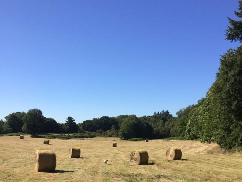 Farm hus i Marval, Haute-Vienne - foto 4