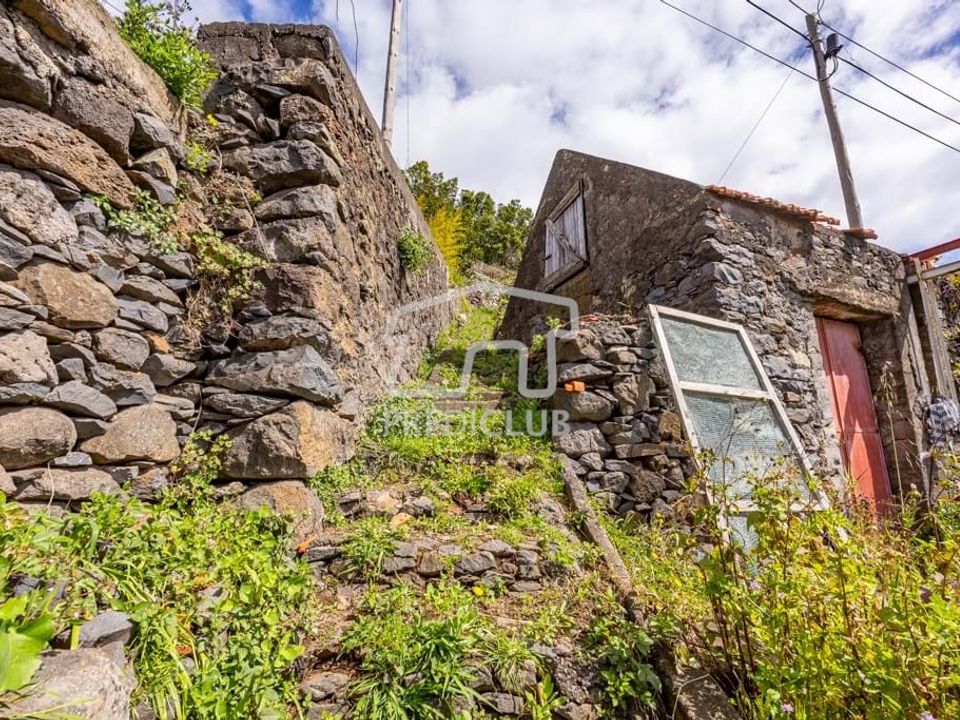 Helårsgrund i Camara de Lobos, Madeira - foto 3