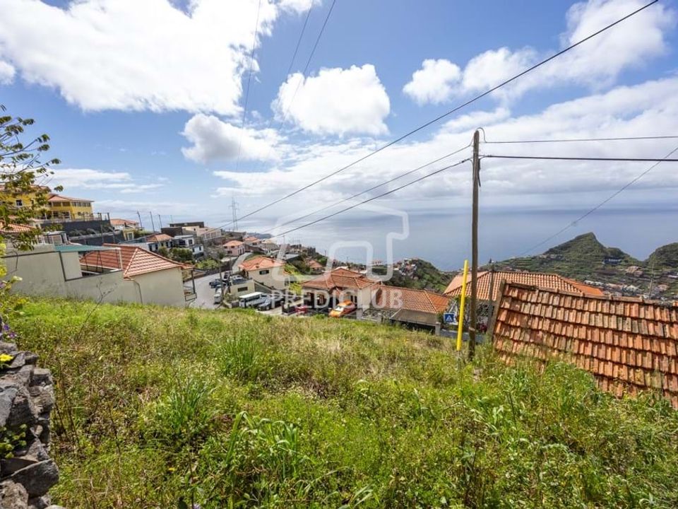 Helårsgrund i Camara de Lobos, Madeira - foto 5