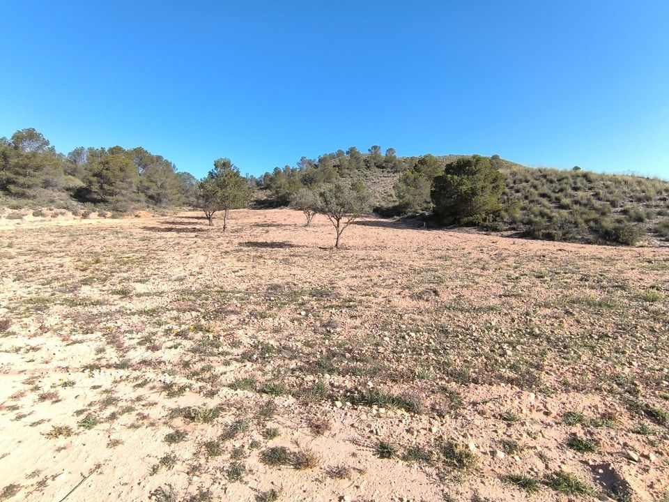 Terreno en Yecla, Murcia - foto 2