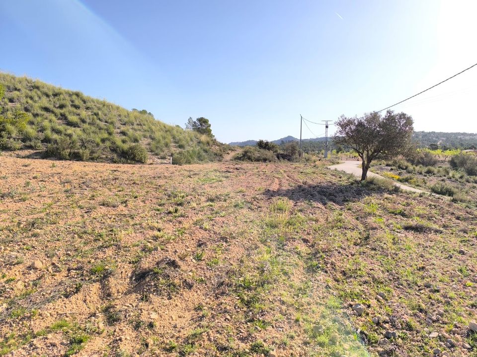 Terreno en Yecla, Murcia - foto 3