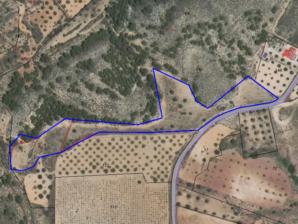 Terreno en Yecla, Murcia - foto 4