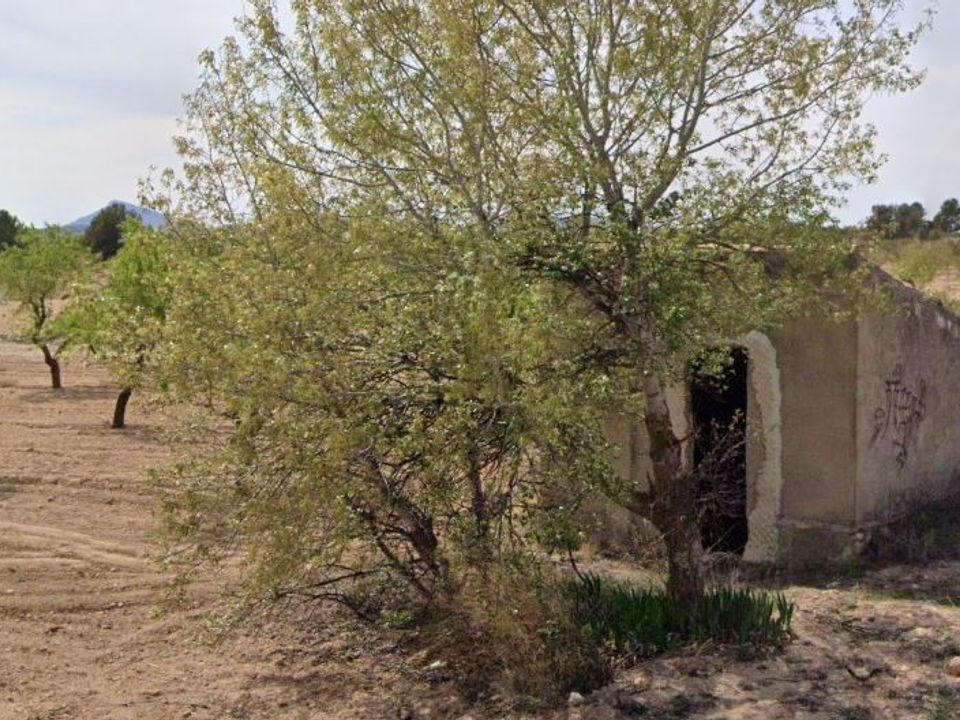 Helårsgrund i Yecla, Murcia - foto 2