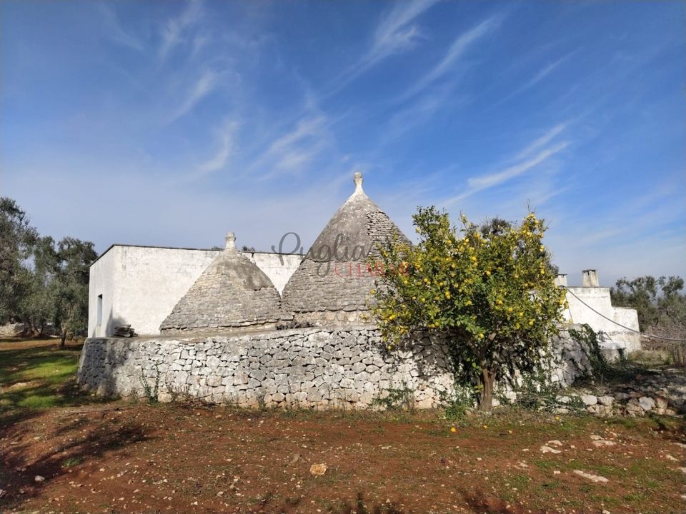 Landejendom i Ostuni, Brindisi - foto 4