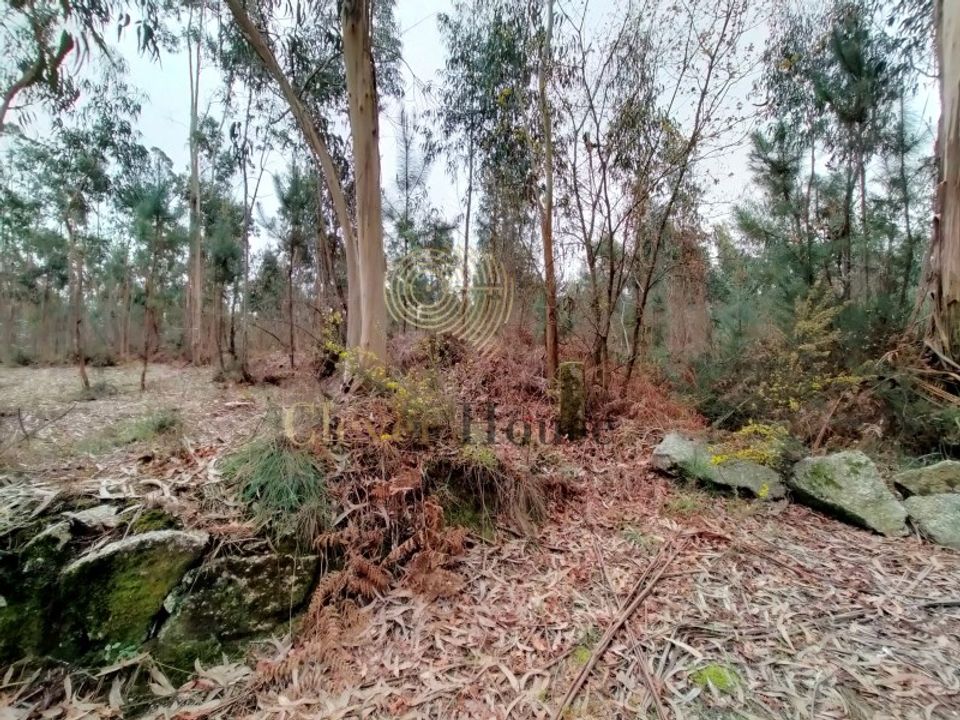 Helårsgrund i Silveiros, Braga - foto 3