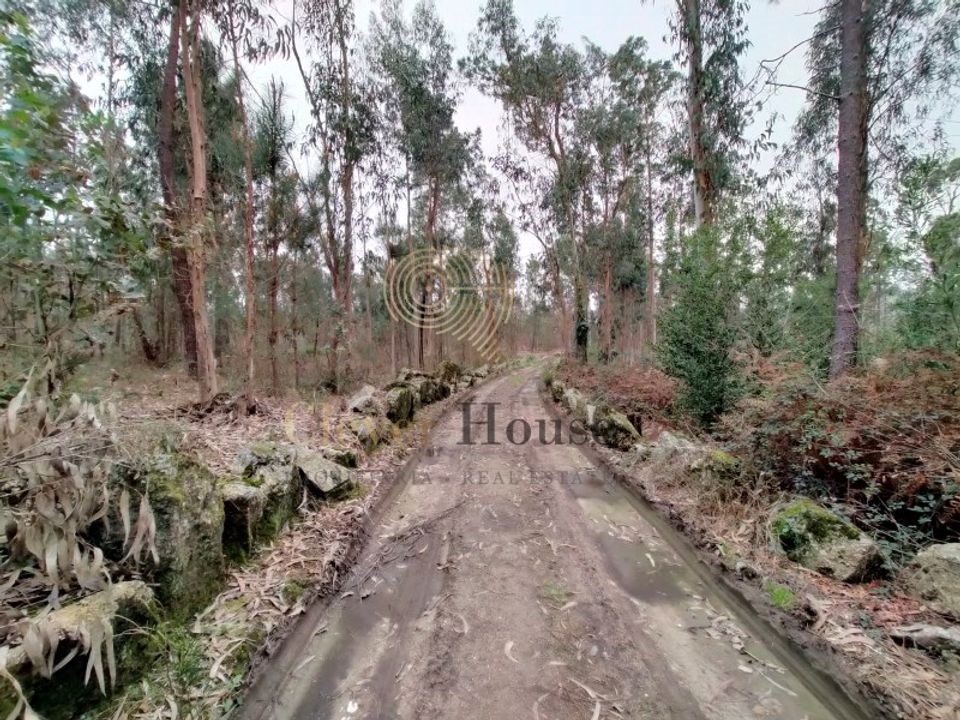 Helårsgrund i Silveiros, Braga - foto 2