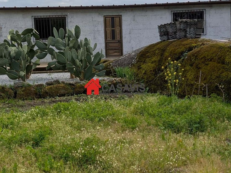 Farm hus i Faíl e Vila Chã de Sá, Viseu - foto 1
