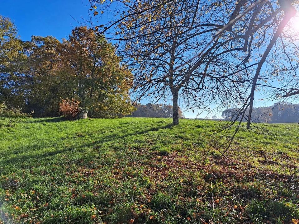Villa i Sauveterre-de-Guyenne, Gironde - foto 5