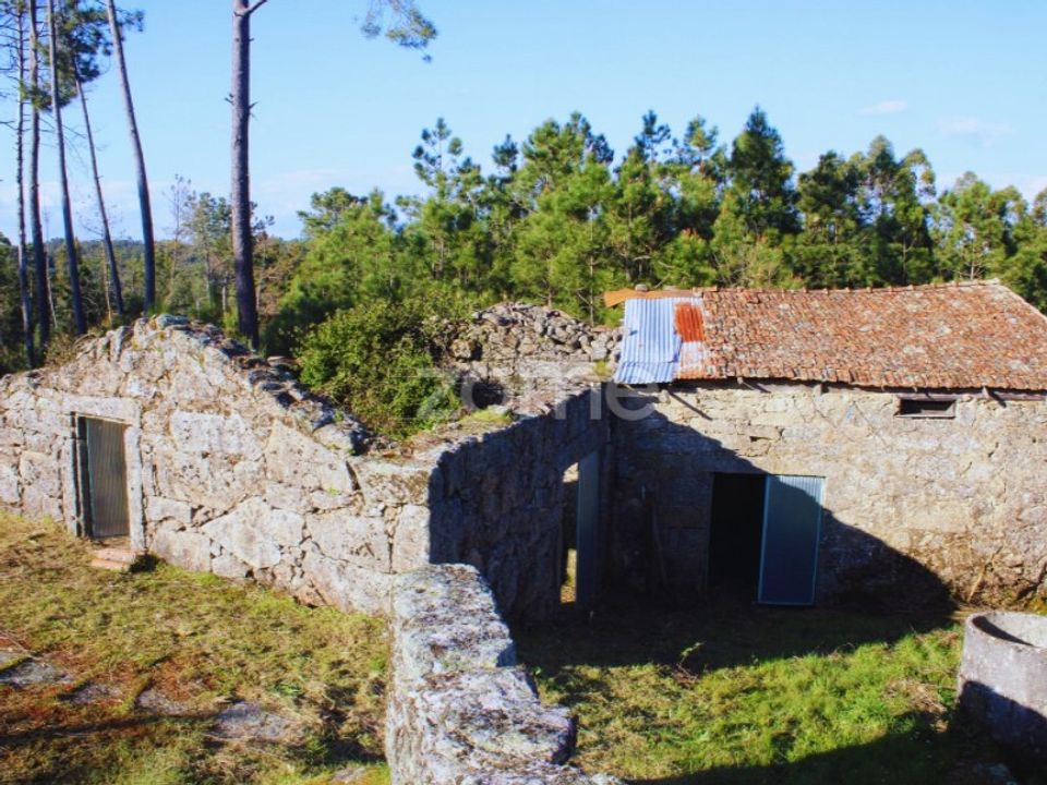 Villa i Tavares (Chas, Varzea e Travanca), Viseu - foto 1