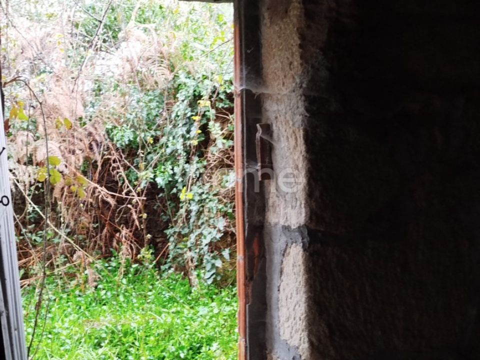 Landejendom i Sao Pedro do Sul, Viseu - foto 2