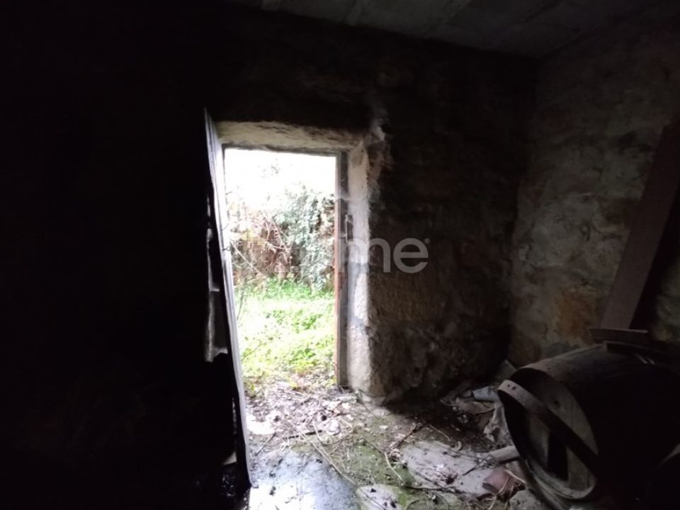 Landejendom i Sao Pedro do Sul, Viseu - foto 4