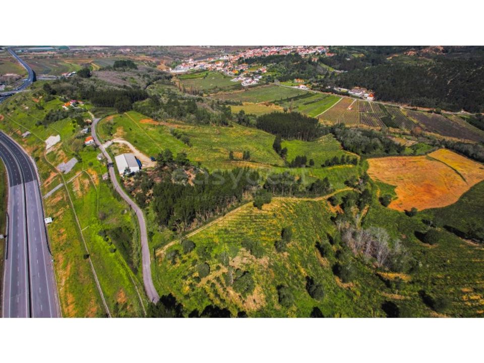 Helårsgrund i Maiorga, Leiria - foto 3