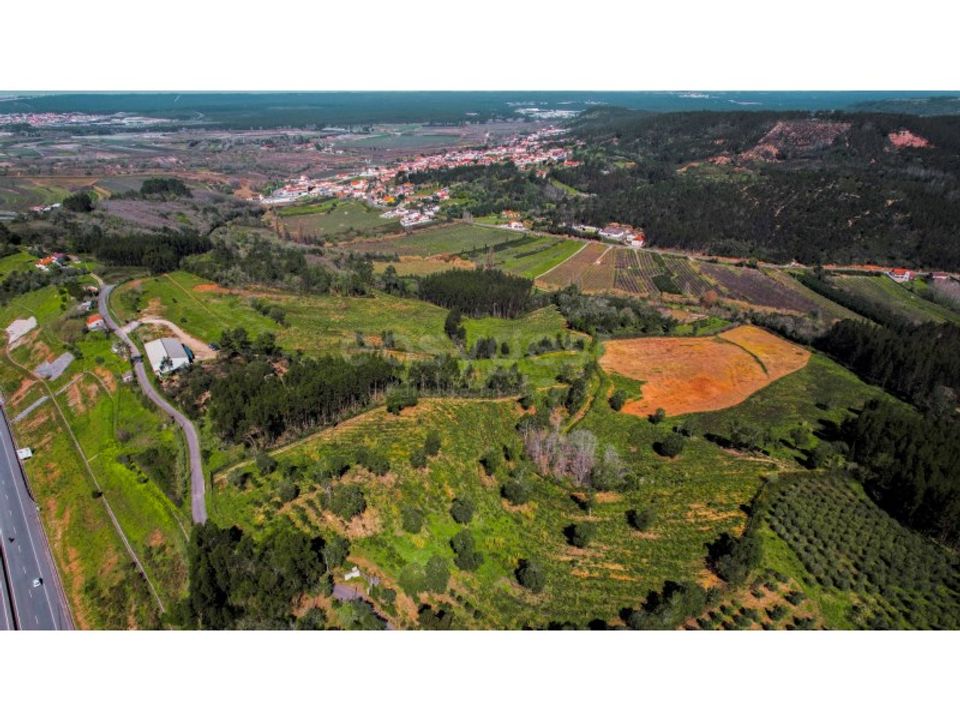 Helårsgrund i Maiorga, Leiria - foto 4