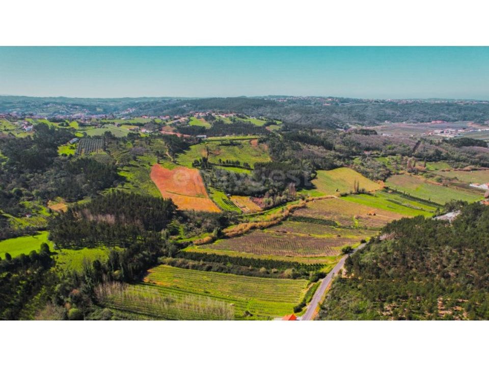Helårsgrund i Maiorga, Leiria - foto 5