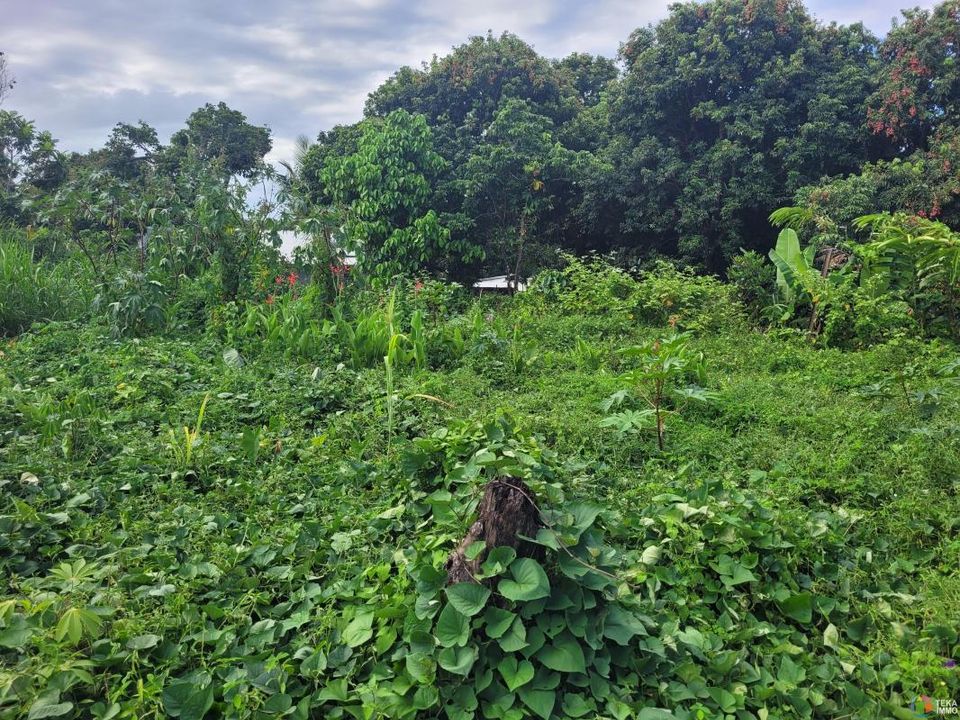 Działka: Saint-Andre, La Reunion – zdjęcie 1