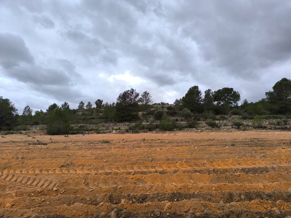 Helårsgrund i Chinorlet, Alicante - foto 3