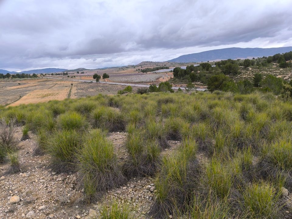 Helårsgrund i Chinorlet, Alicante - foto 3