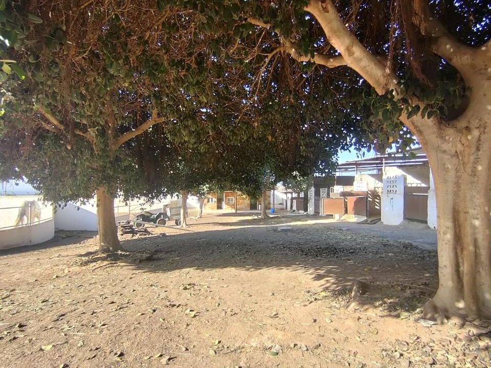 Landejendom i Salobre, Gran Canaria - foto 2