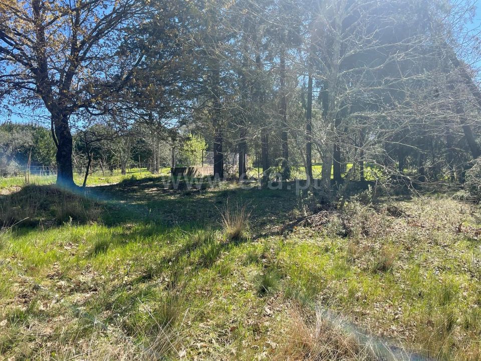 Helårsgrund i Seia, Guarda - foto 3