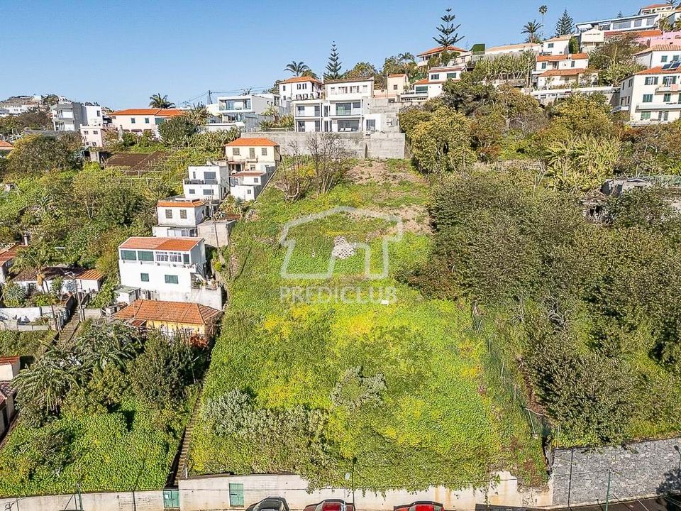 Terra a Funchal, Madeira - foto 3