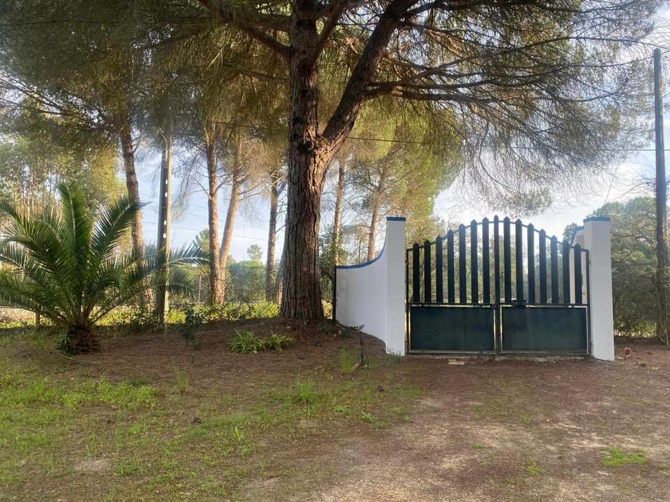 Helårsgrund i Comporta, Setubal - foto 3