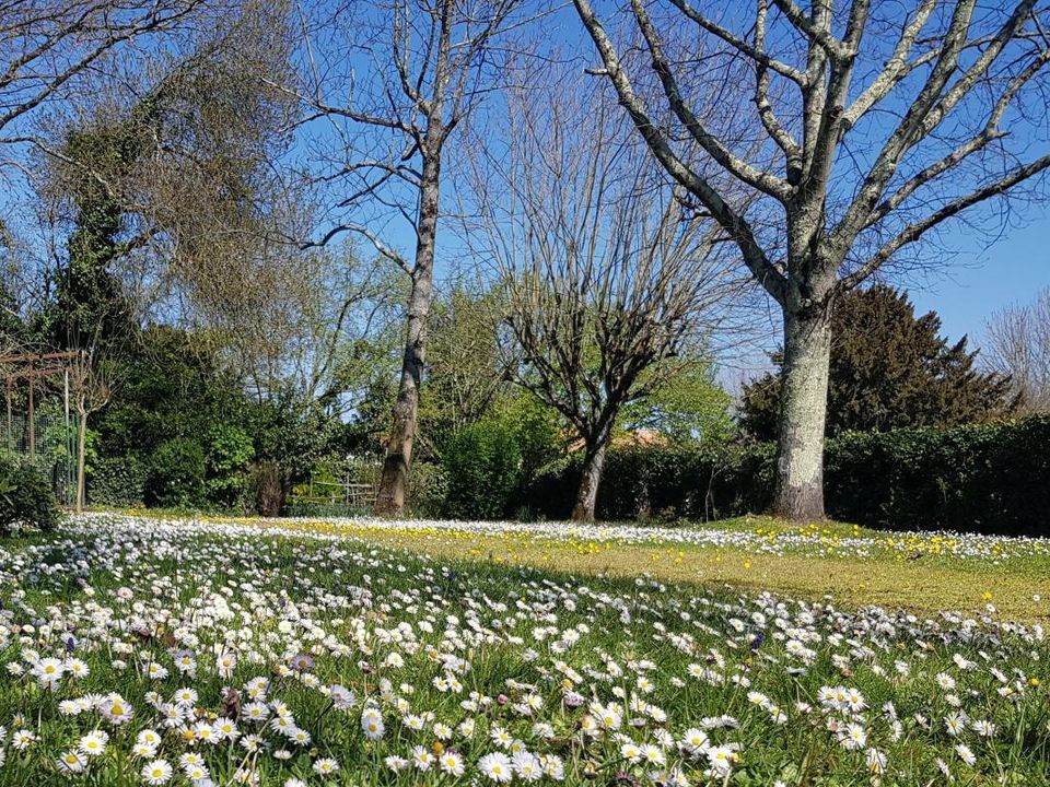 Grond in Margaux, Gironde - foto 1