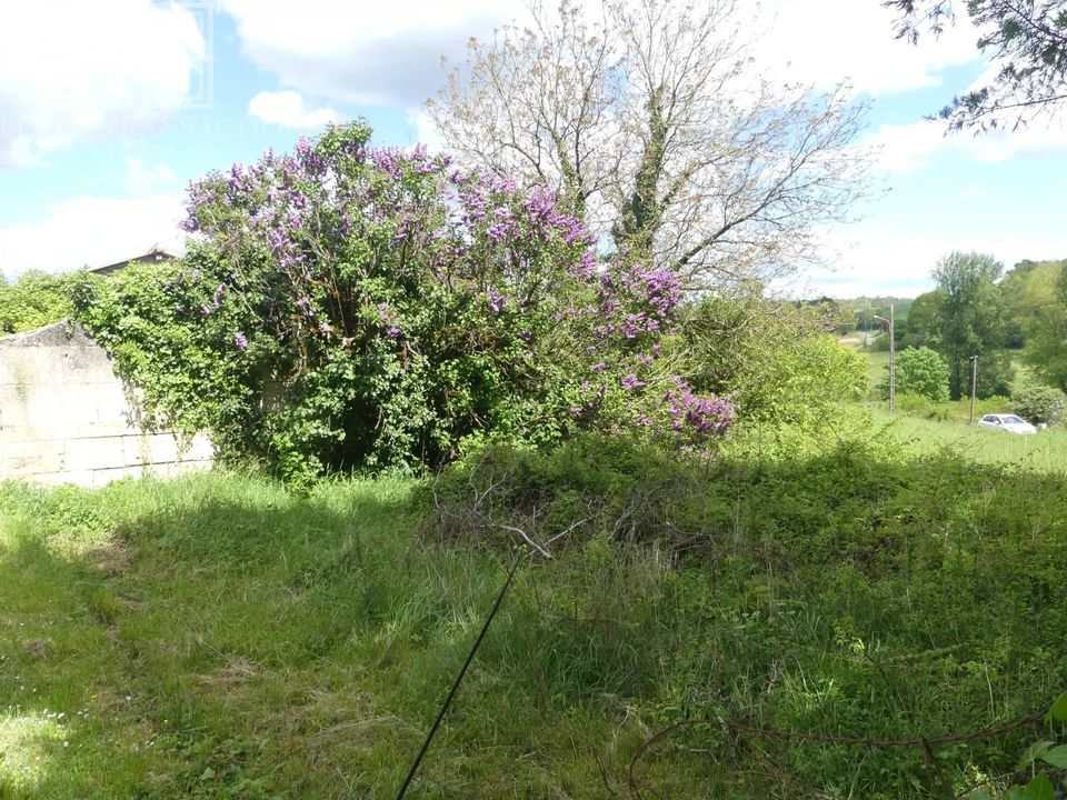 Landejendom i Condat-Sur-Trincou, Dordogne - foto 5