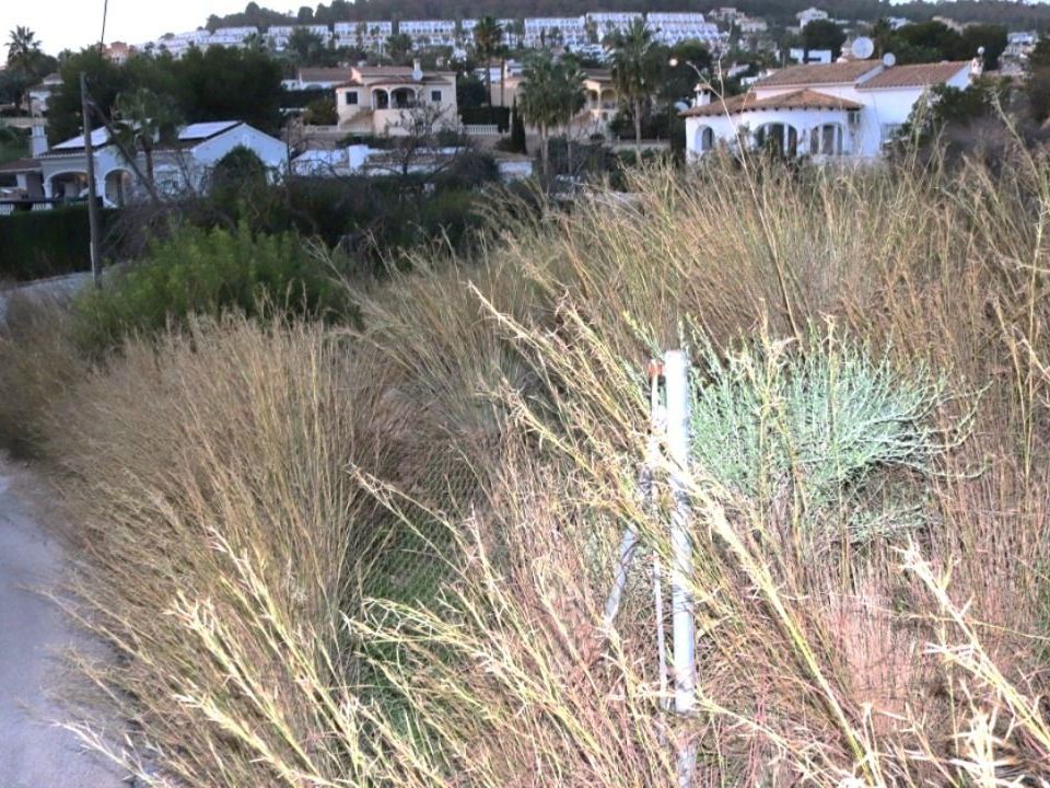 Helårsgrund i Calpe, Alicante - foto 3