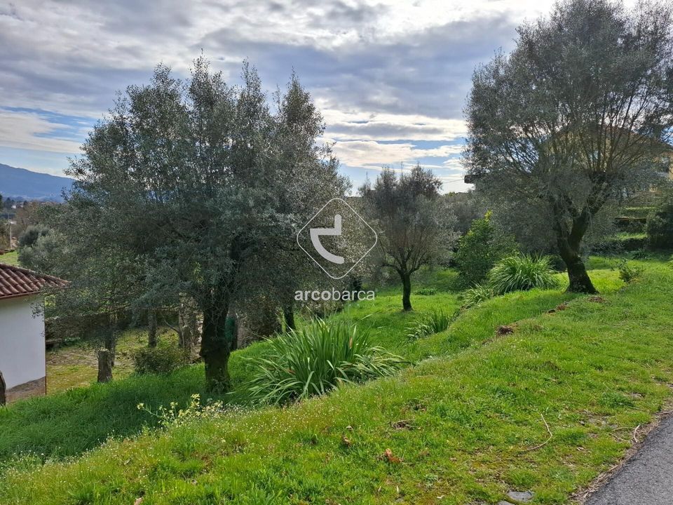 Helårsgrund i Ponte de Lima, Viana do Castelo - foto 5