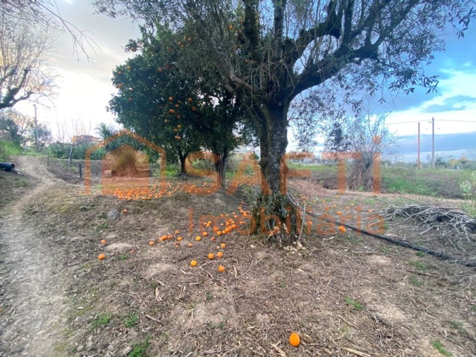 Helårsgrund i Tondela, Viseu - foto 2