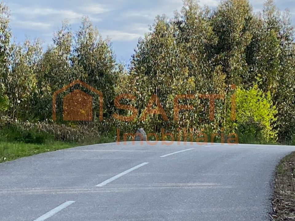Helårsgrund i Tondela, Viseu - foto 2