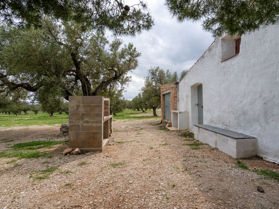 Finca a Roquetes, Tarragona - foto 1