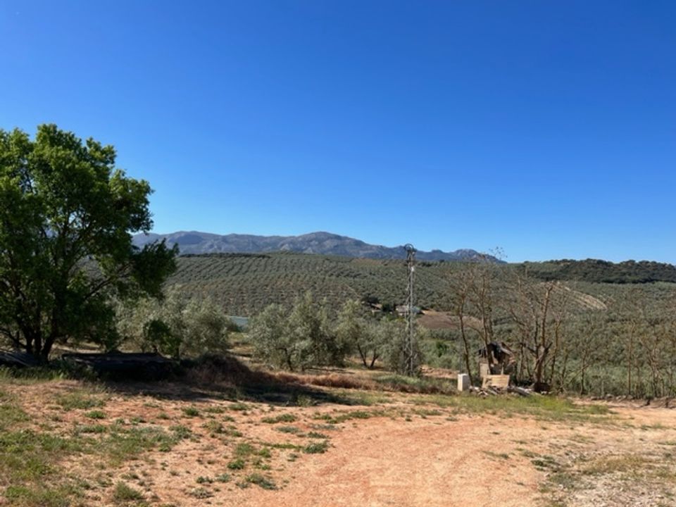 Landejendom i Villanueva Del Trabuco, Malaga - foto 5