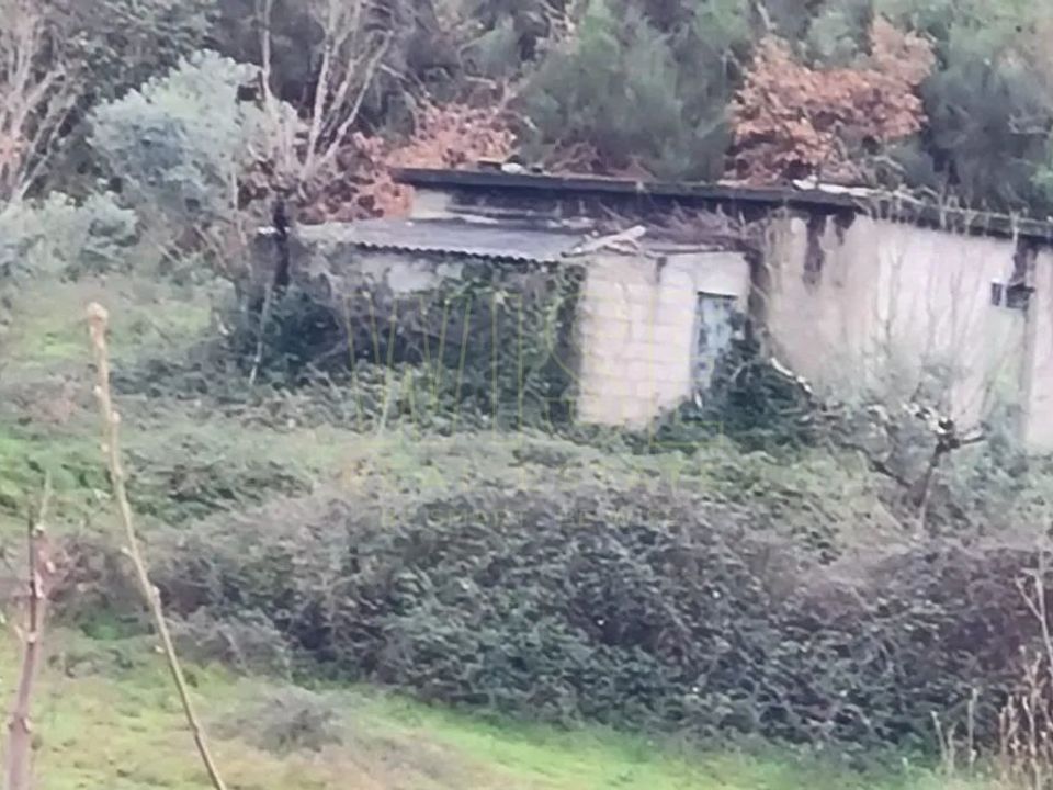 Helårsgrund i Oliveira do Hospital, Coimbra - foto 2