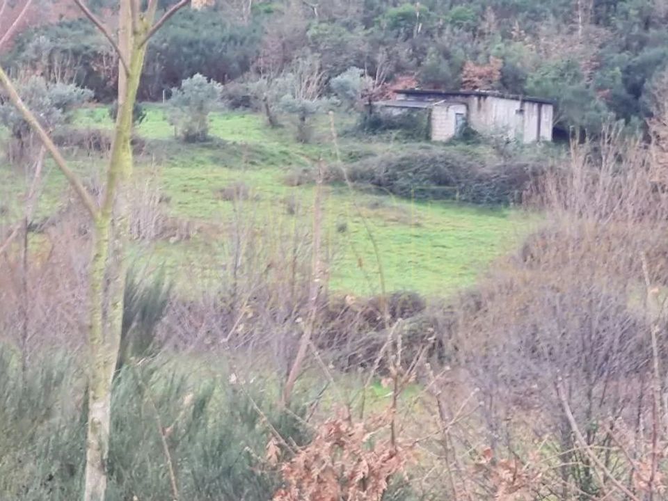 Helårsgrund i Oliveira do Hospital, Coimbra - foto 4