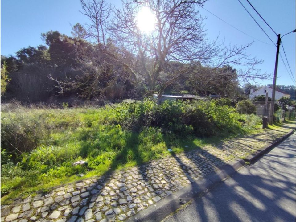 Helårsgrund i Coimbra, Coimbra - foto 2