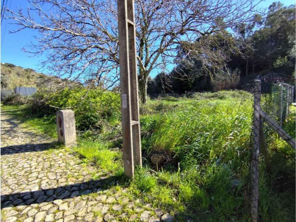 Helårsgrund i Coimbra, Coimbra - foto 3
