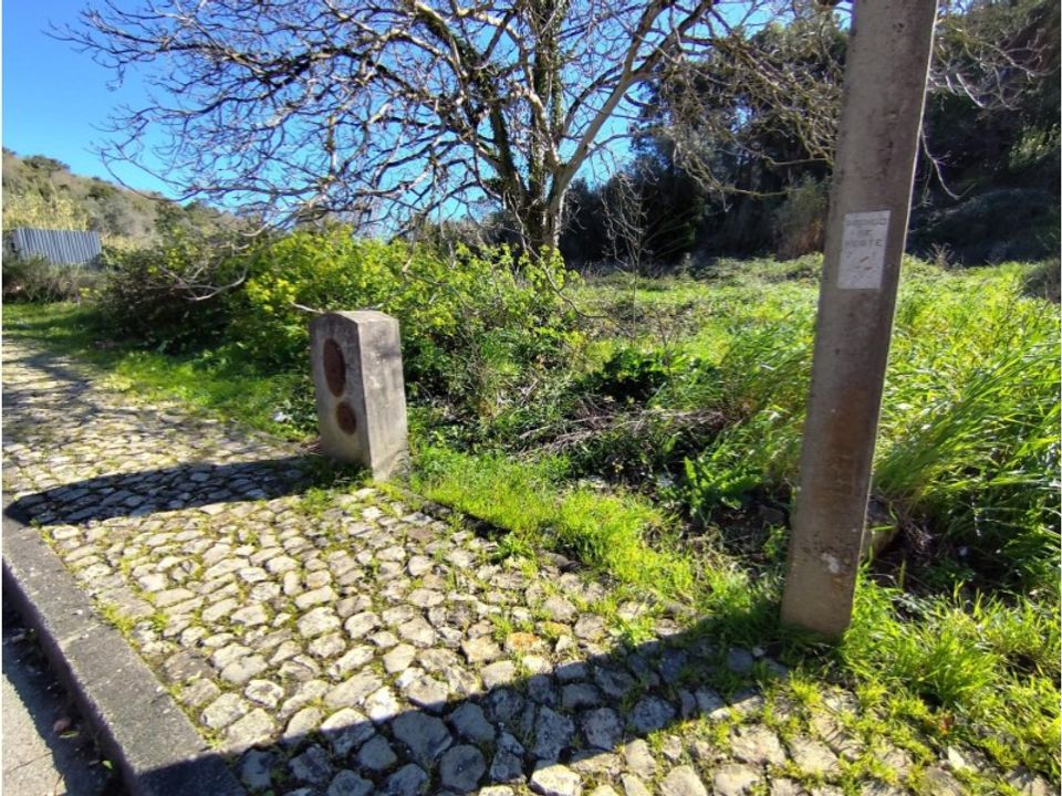 Helårsgrund i Coimbra, Coimbra - foto 4