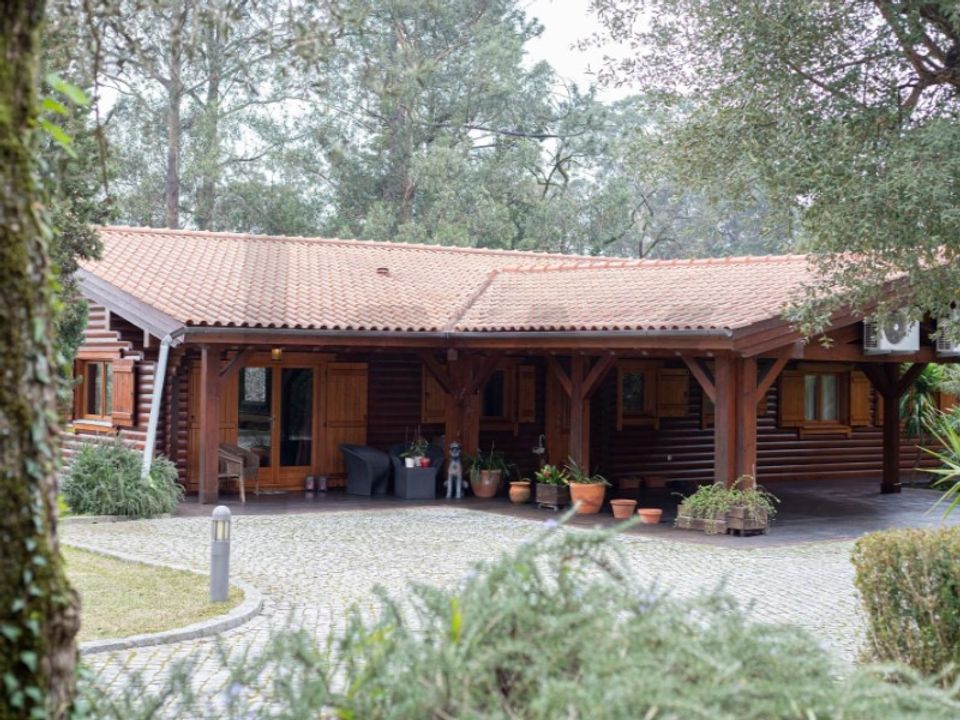 Farm i Oliveira de Azemeis, Aveiro - foto 2