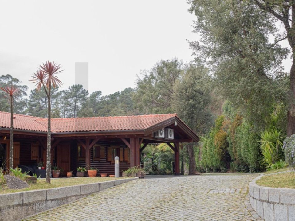 Farm i Oliveira de Azemeis, Aveiro - foto 3