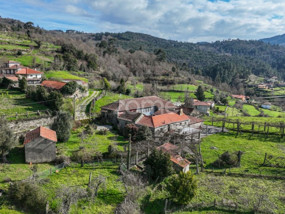 Gård i Ribeira de Pena, Vila Real - bilde 5