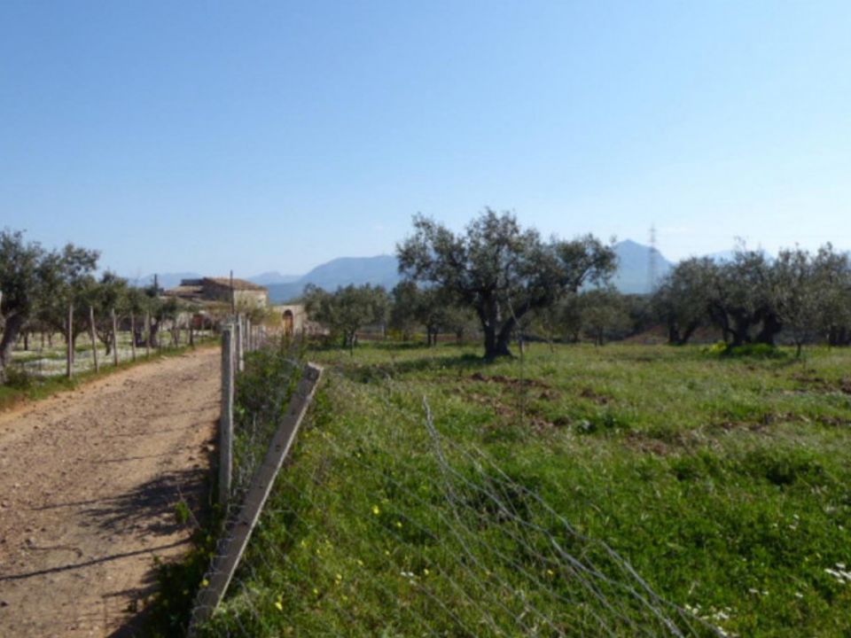 Helårsgrund i Partinico, Palermo - foto 5