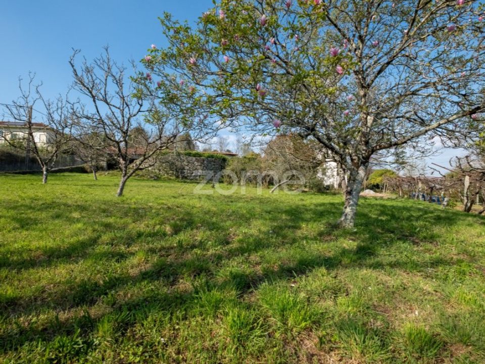 Farm i Paredes, Porto - foto 4