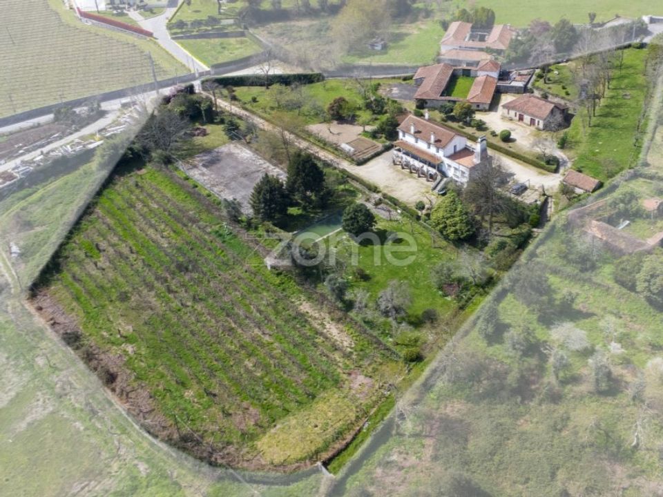 Farm i Paredes, Porto - foto 1