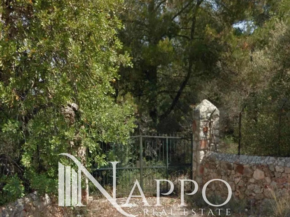 Finca i Bunyola, Mallorca - bilde 2